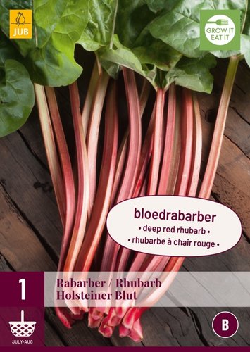 JUB Holland Rheum/Rabarber Holsteiner Blut