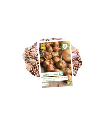 JUB Holland Sjalotten Golden Gourmet