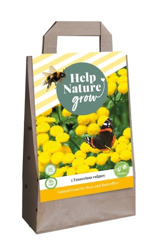 JUB Holland Tas 3 Tanacetum Vulgare