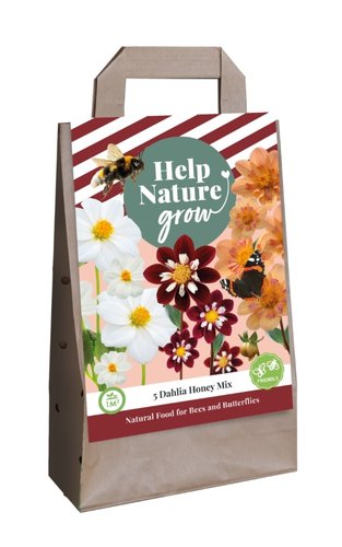 JUB Holland Tas 5 Dahlia's Honey Mix