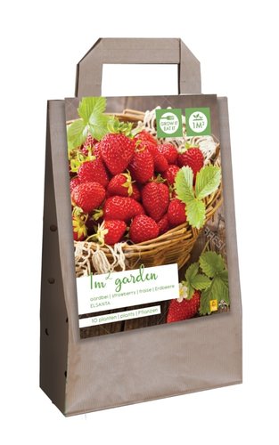 JUB Holland Tas Met 1 M2 Aardbeien Elsanta 10 Stuks