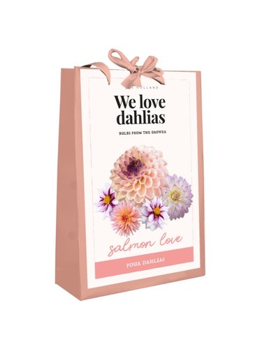 JUB Holland Tas 'We Love Dahlias' Salmon Love