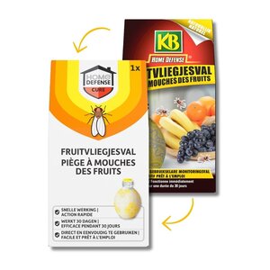 HOME DEFENSE® Fruitvliegjesval 1 stuk - afbeelding 4