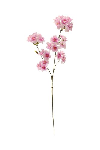 Kersenbloesem 70 cm Roze