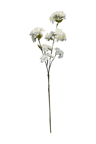 Kersenbloesem 70 cm Wit
