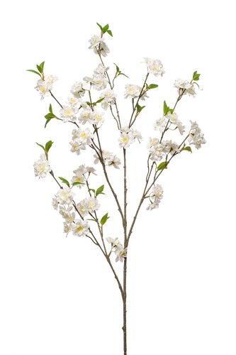 Kersenbloesem Tak Zijde - 120cm Wit