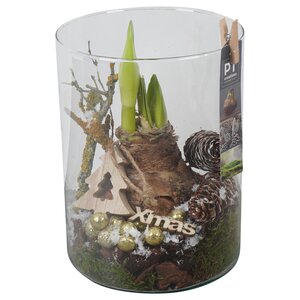 Kerstarrangement amarylis in vaas - D 8