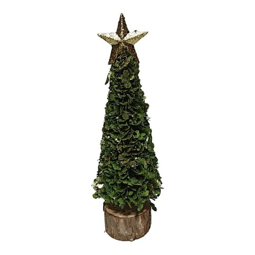 Kerstboom met ster - D6xH22cm Groen