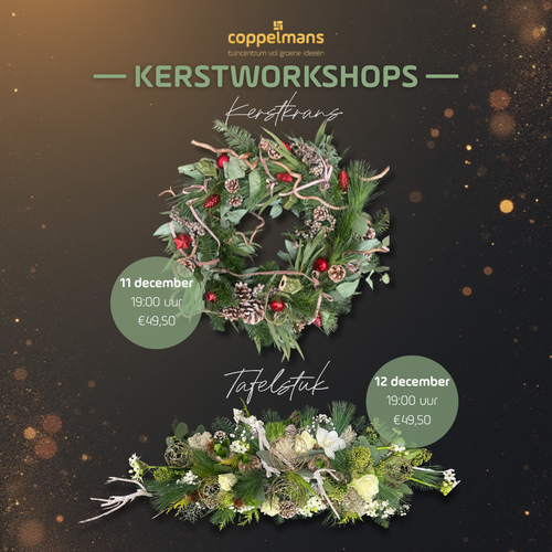 Kerstworkshop Oirschot