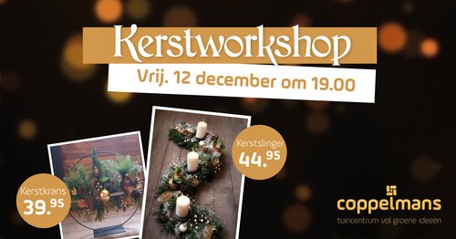 Kerstworkshop Oisterwijk
