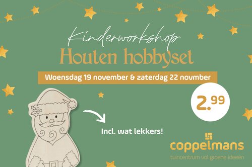 Kinderworkshop Houten Hobbyset - Veldhoven