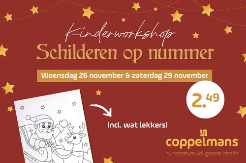 Kinderworkshop schilderen op nummer - Veldhoven