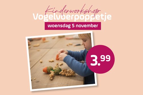 Kinderworkshop vogelvoerpoppetje - Helmond