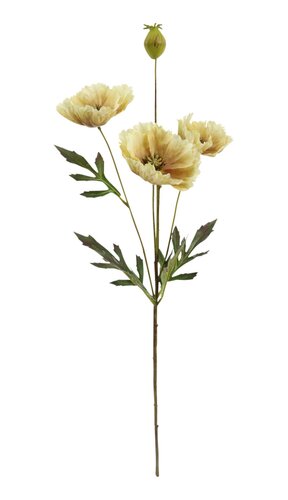 Klaproos 69 cm beige