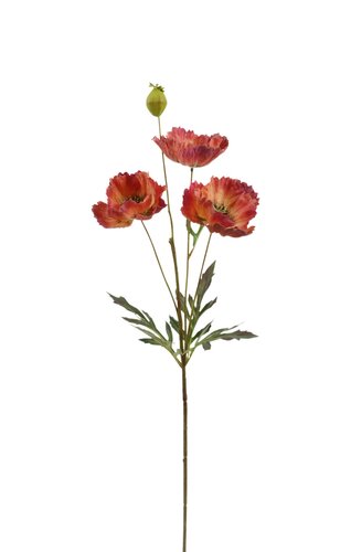 Klaproos 69 cm red