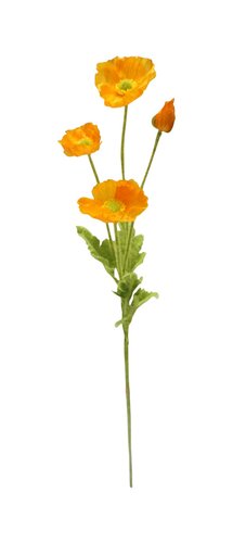 Klaproos Oranje 58 cm