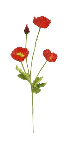 Klaproos Rood 58 cm