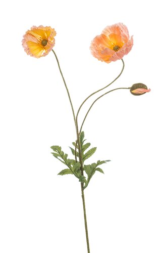 Klaproos Tak Zijde - 75cm Perzik x3