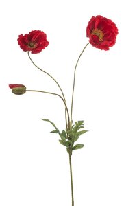 Klaproos Tak Zijde - 75cm Rood