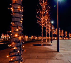 Anna's Collection koppelverlichting classic LED - 100 L