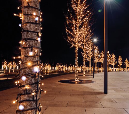 Koppelverlichting 100led flash ww