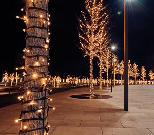 Anna's Collection koppelverlichting LED - 100 L