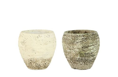 Krat pot Boaz kleur D33x55 H33 2 assorti