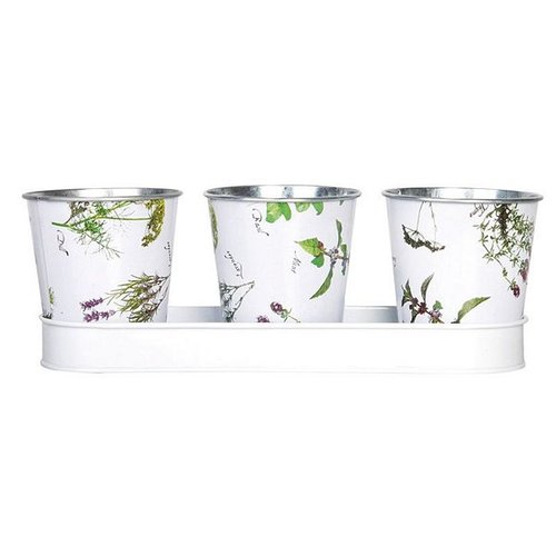 Kruidenprint set 3 potjes op tray