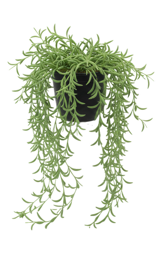 Kunst hangplant Othonna H 48 cm met pot