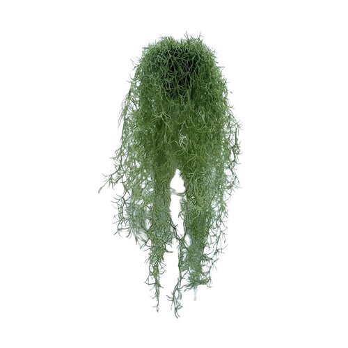 Kunst hangplant Tillandsia L 74 cm met pot