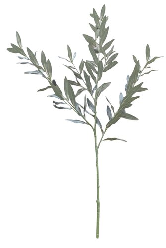 Kunst Olijftak - 100cm