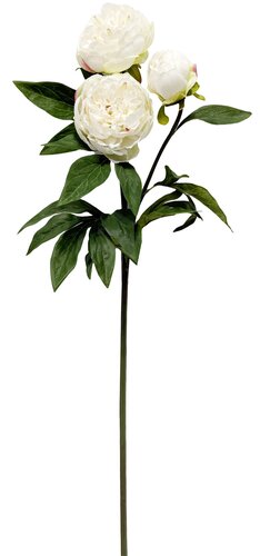 Kunst Pioenroos 3 kops - H76cm wit