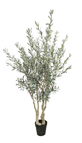 Kunst XL Olijfboom, in pot - H250cm