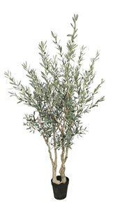 Kunst XL Olijfboom, in pot - H250cm