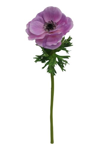 Kunstbloem Anemoon paars - L 39 cm - afbeelding 1