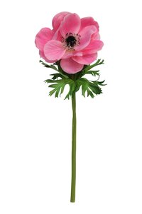 Kunstbloem Anemoon roze - L 39 cm - afbeelding 1