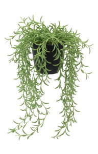 Kunsthangplant Othonna - H 48 cm