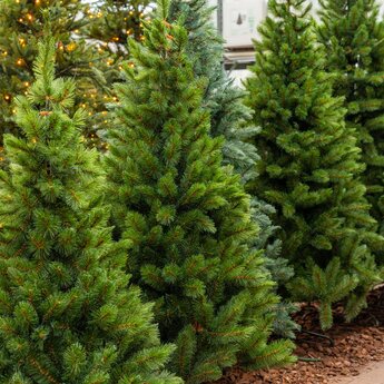 Kunstkerstbomen
