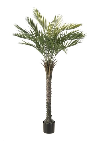KunstPalm - 150cm