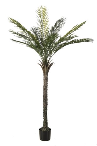 Kunstpalmboom - 180cm