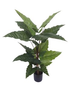 Kunstplant Alocacia - H150-cm