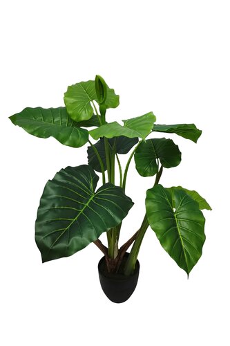 Kunstplant Alocasia H 100 cm