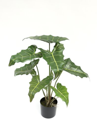 Kunstplant Alocasia H 58 cm
