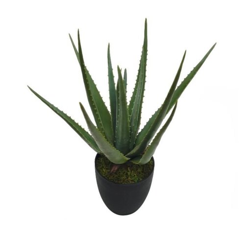 Kunstplant Aloe H 70 cm