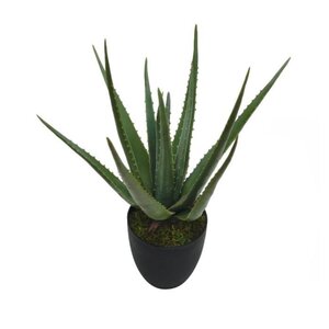 Kunstplant Aloe H 70 cm