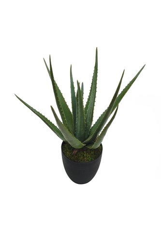 Kunstplant Aloë Vera H 45 cm