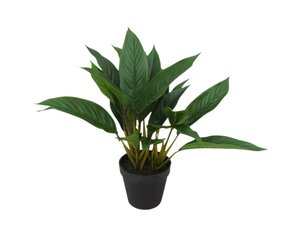 Kunstplant Anthurium H 42 cm
