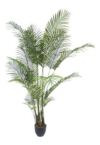 Kunstplant Areca Kamerpalm H 170 cm