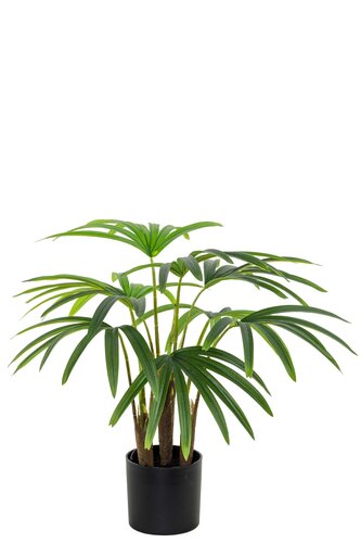 Kunstplant Bamboepalm H 60 cm
