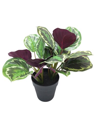 Kunstplant Calathea H 36 cm